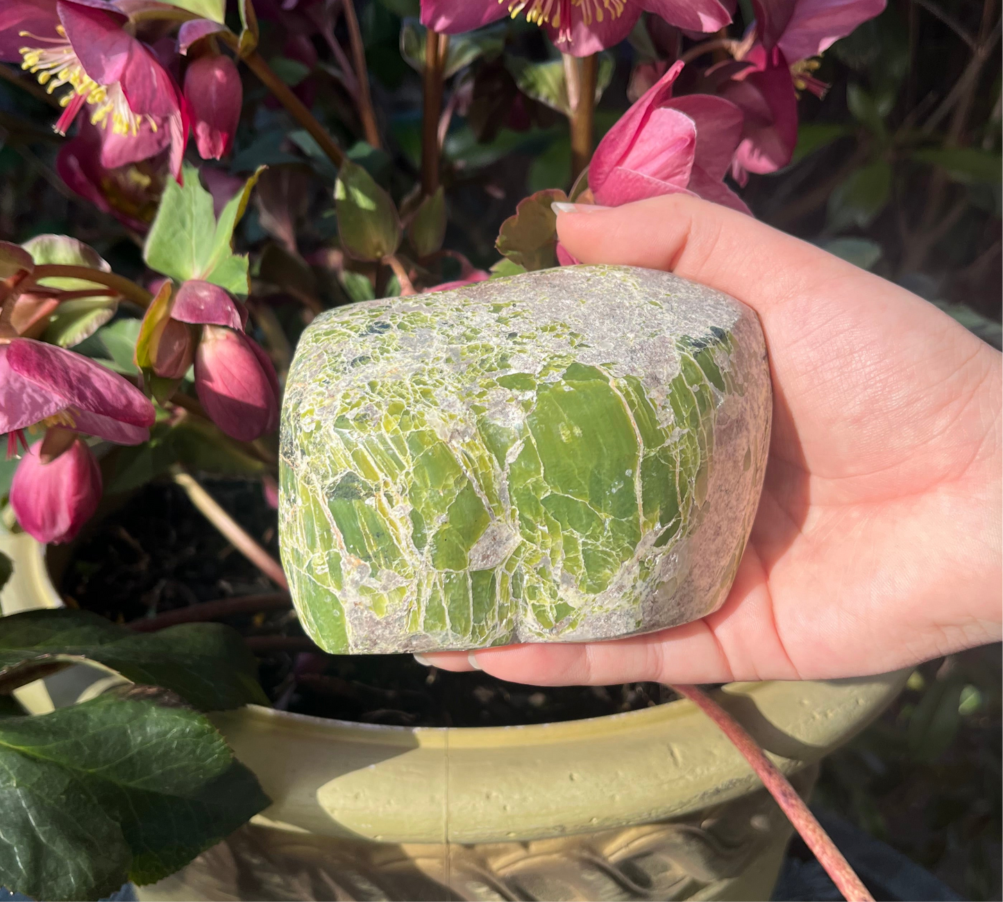 Tremolite Freeform