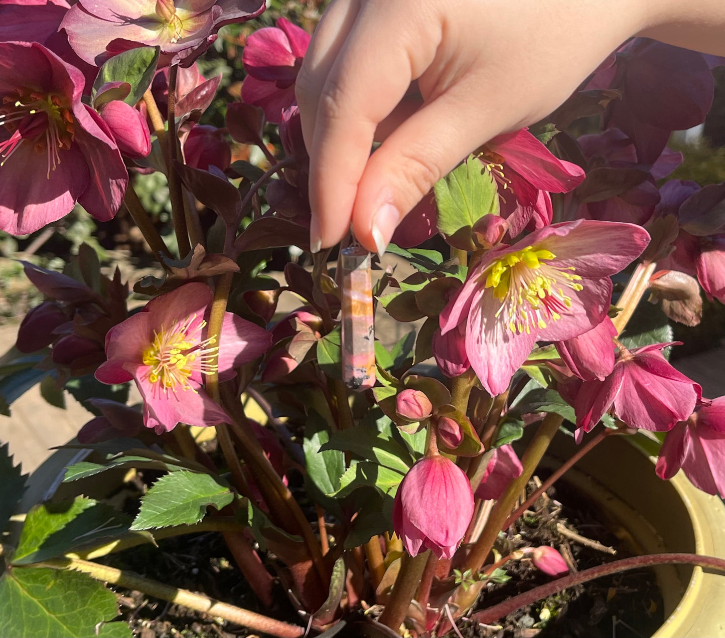 Rhodonite Crystal Pendants