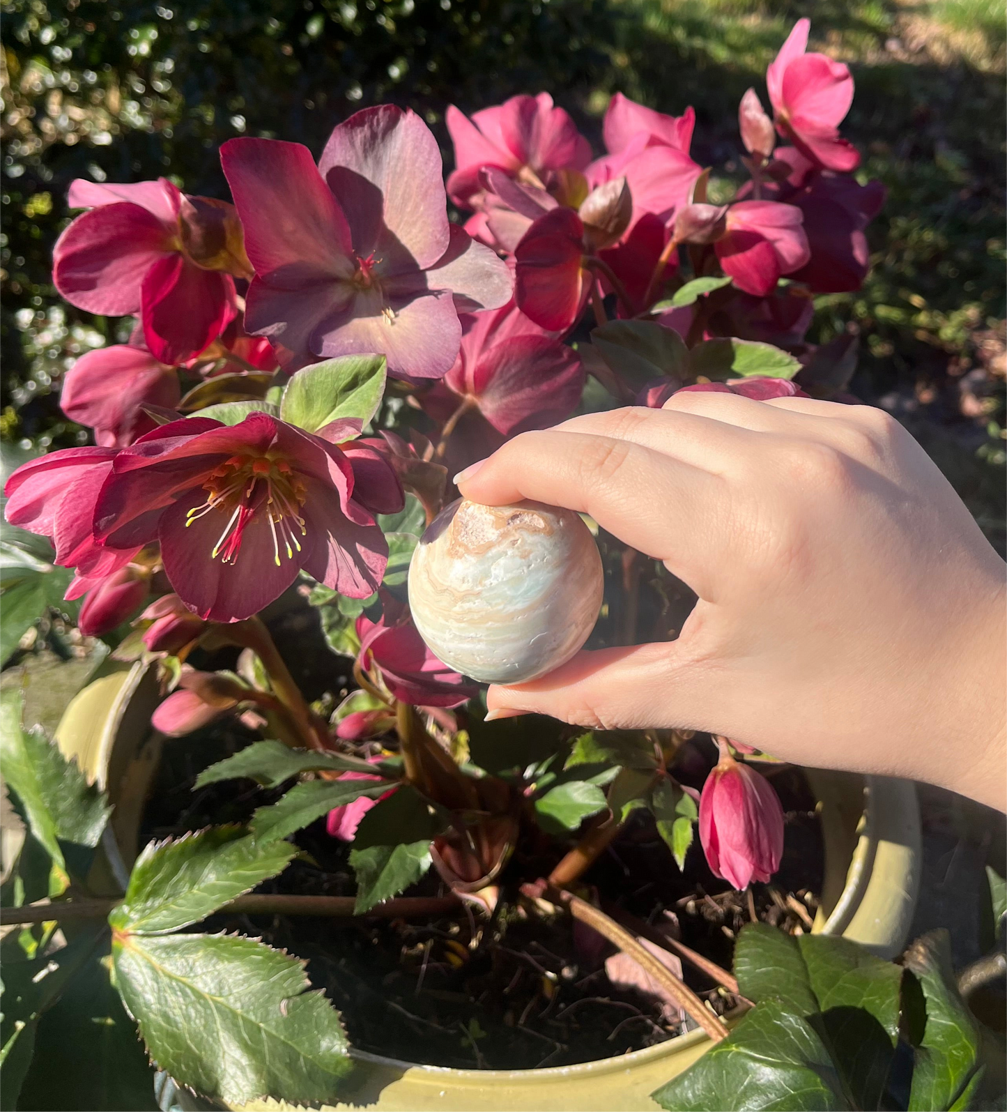 Caribbean Calcite Spheres