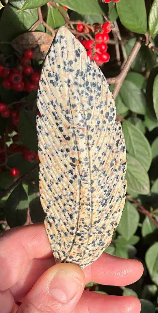 Dalmatian Jasper Feather Carving