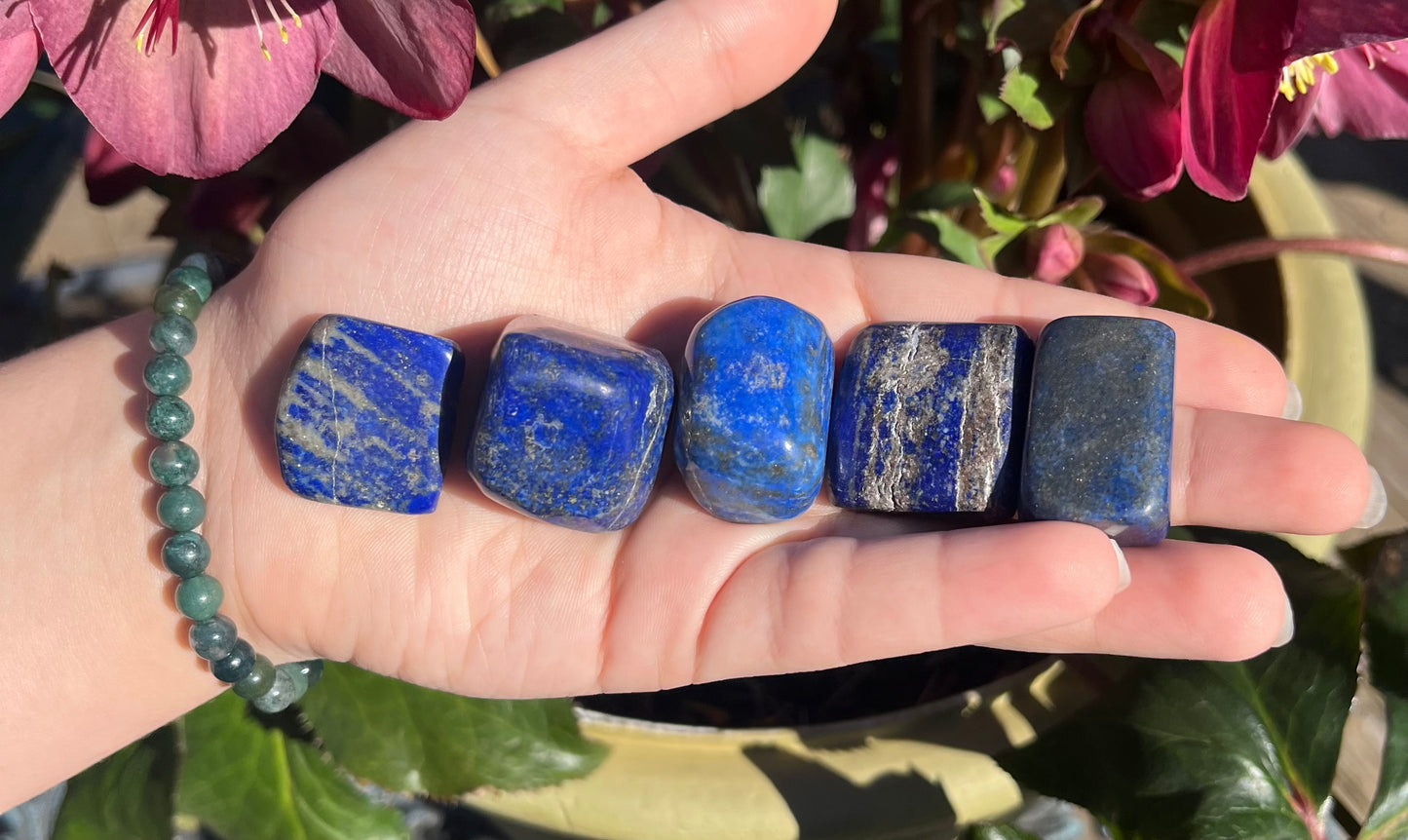 Lapis Lazuli Tumbled Crystals