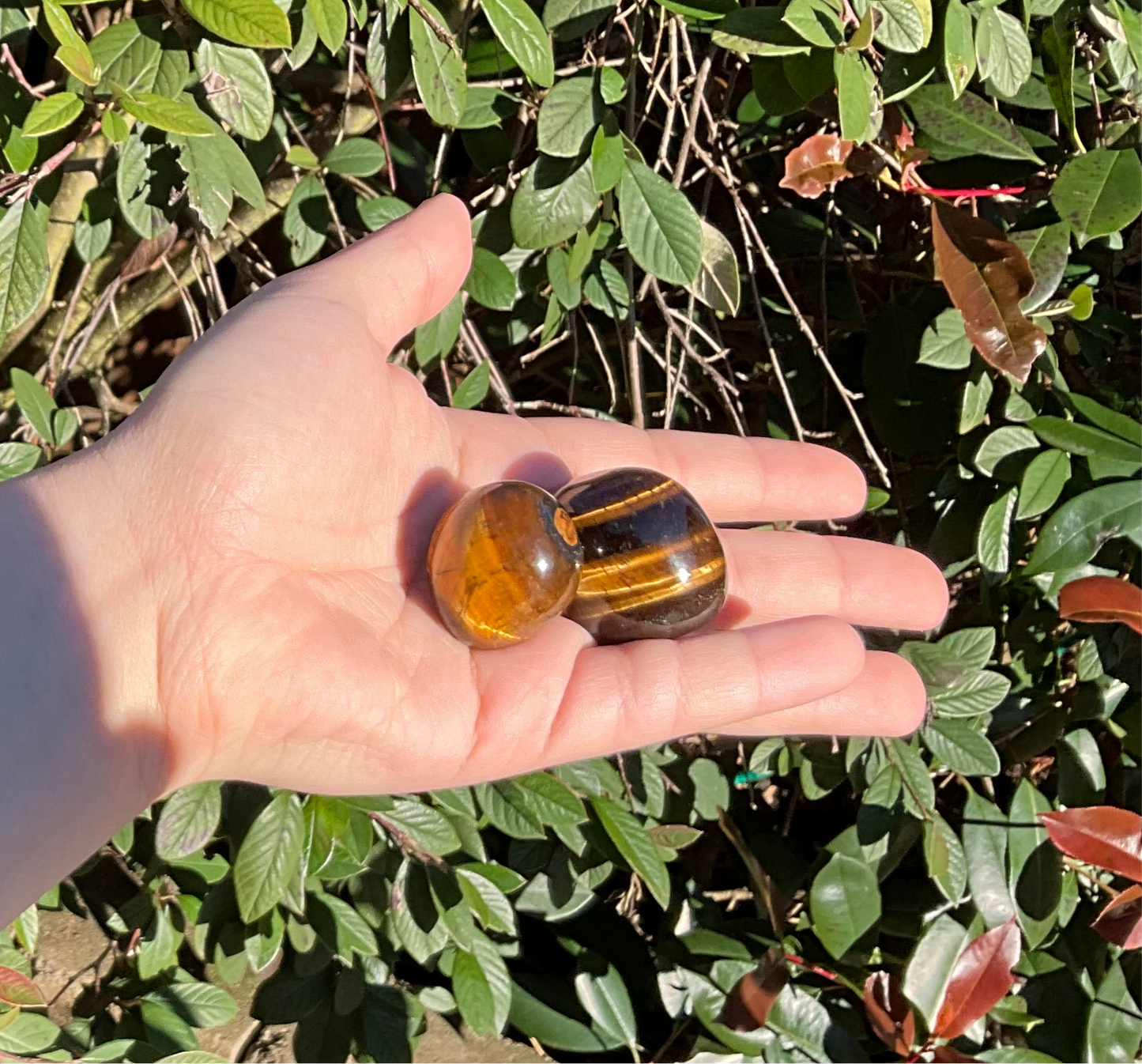 Tiger’s Eye Tumbled Crystals