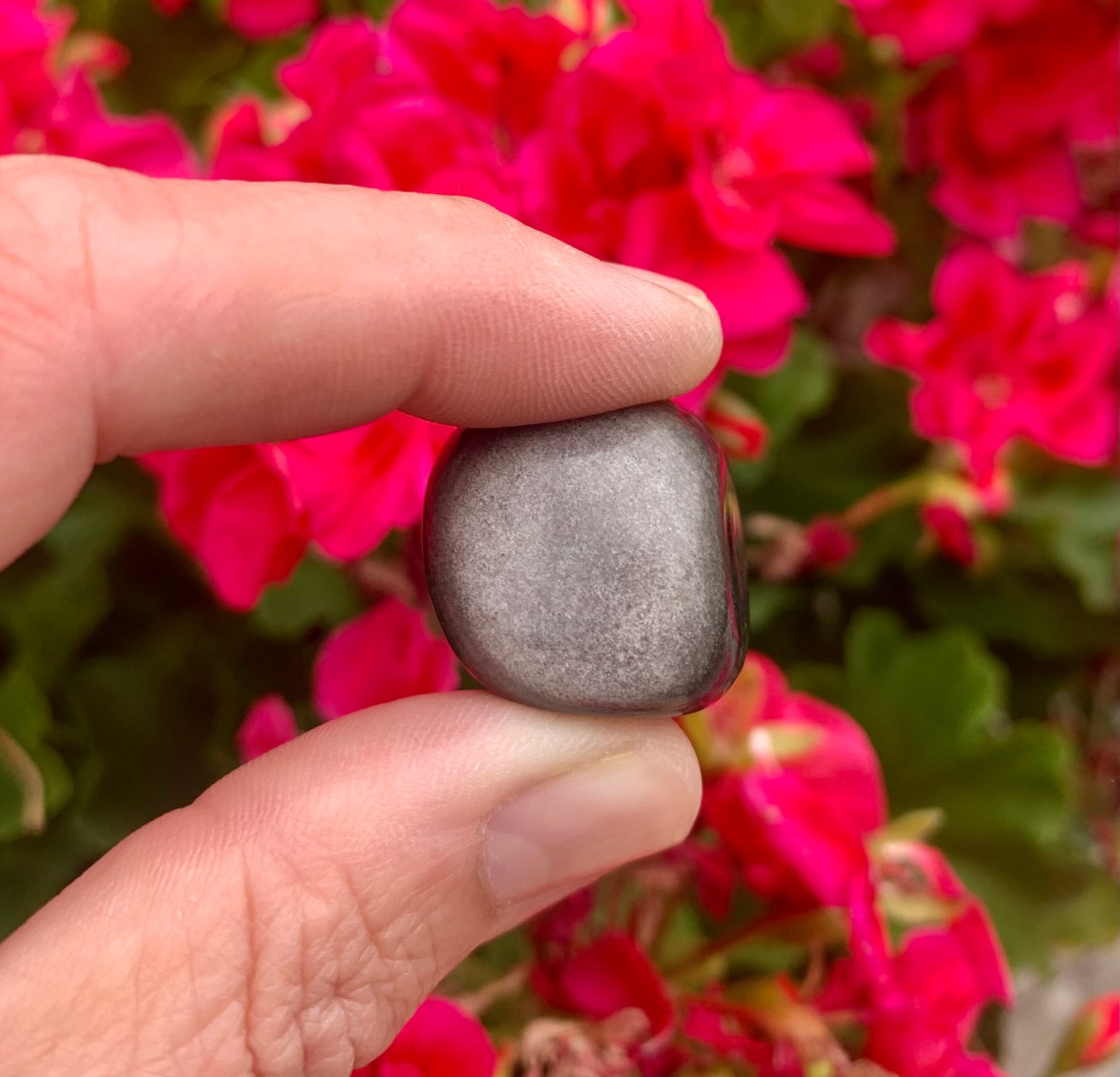 Silver Sheen Obsidian Tumbled Crystals