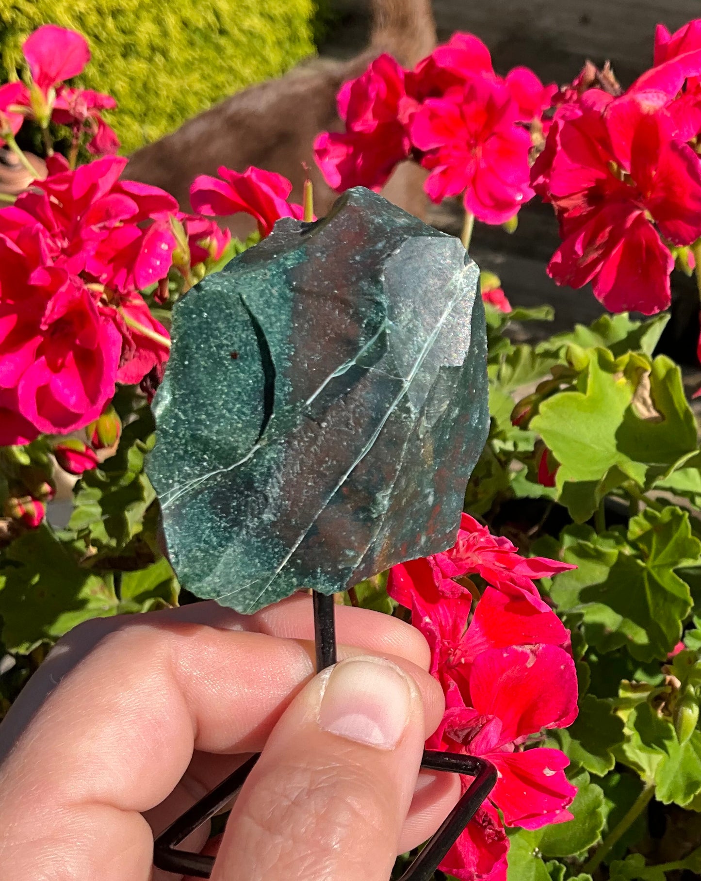 Raw Bloodstone Specimen on Stand