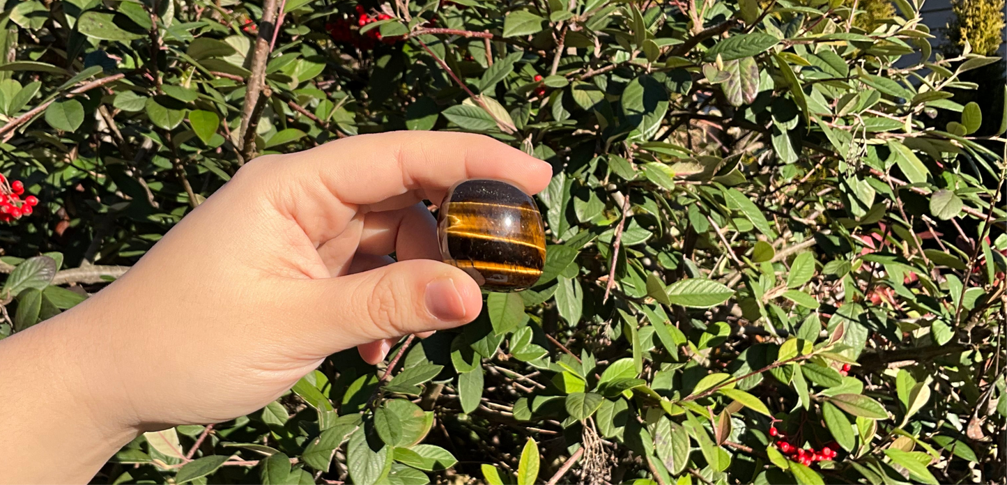 Tiger’s Eye Tumbled Crystals