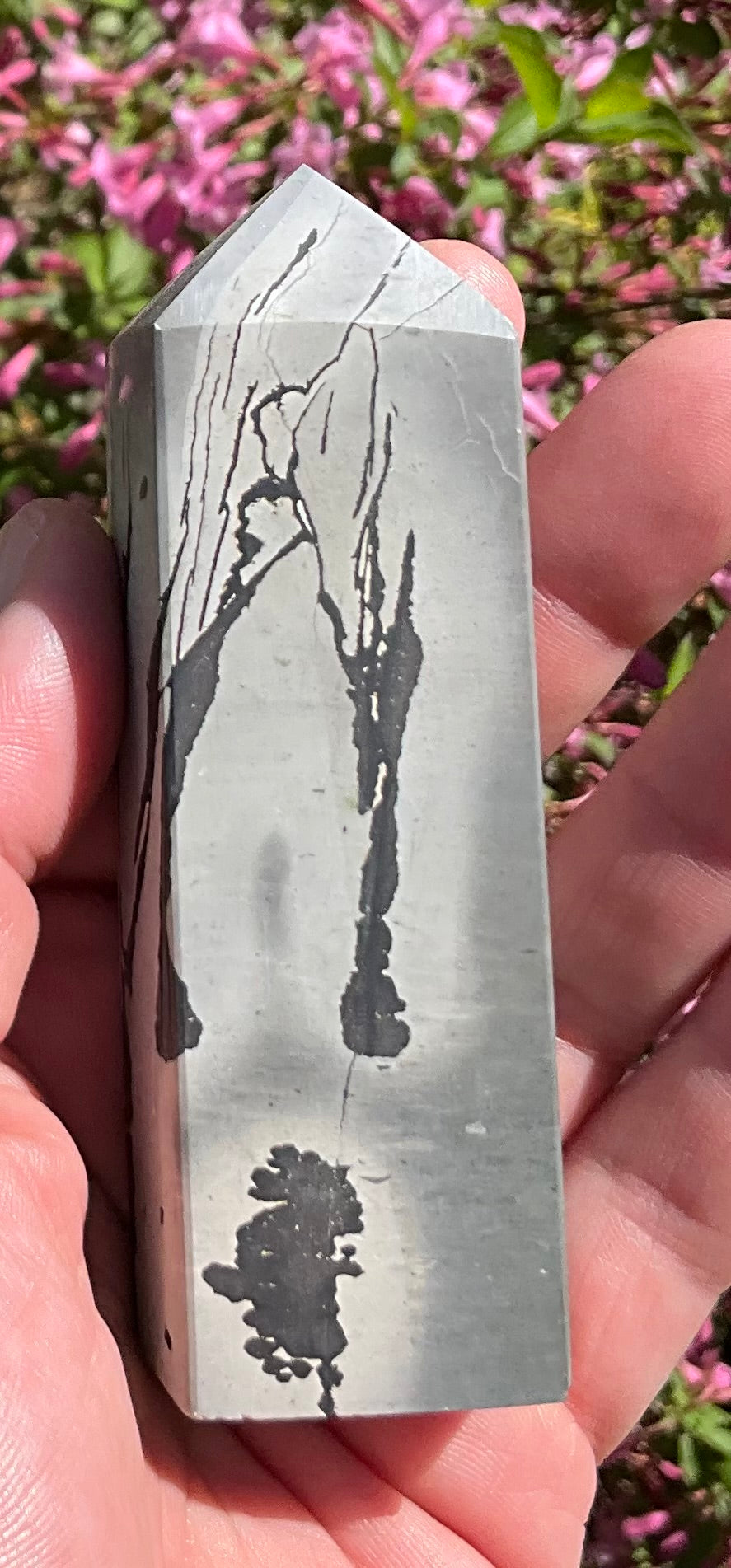 Picture Jasper Towers