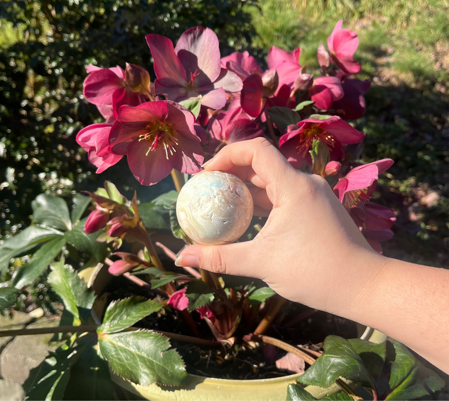 Caribbean Calcite Spheres