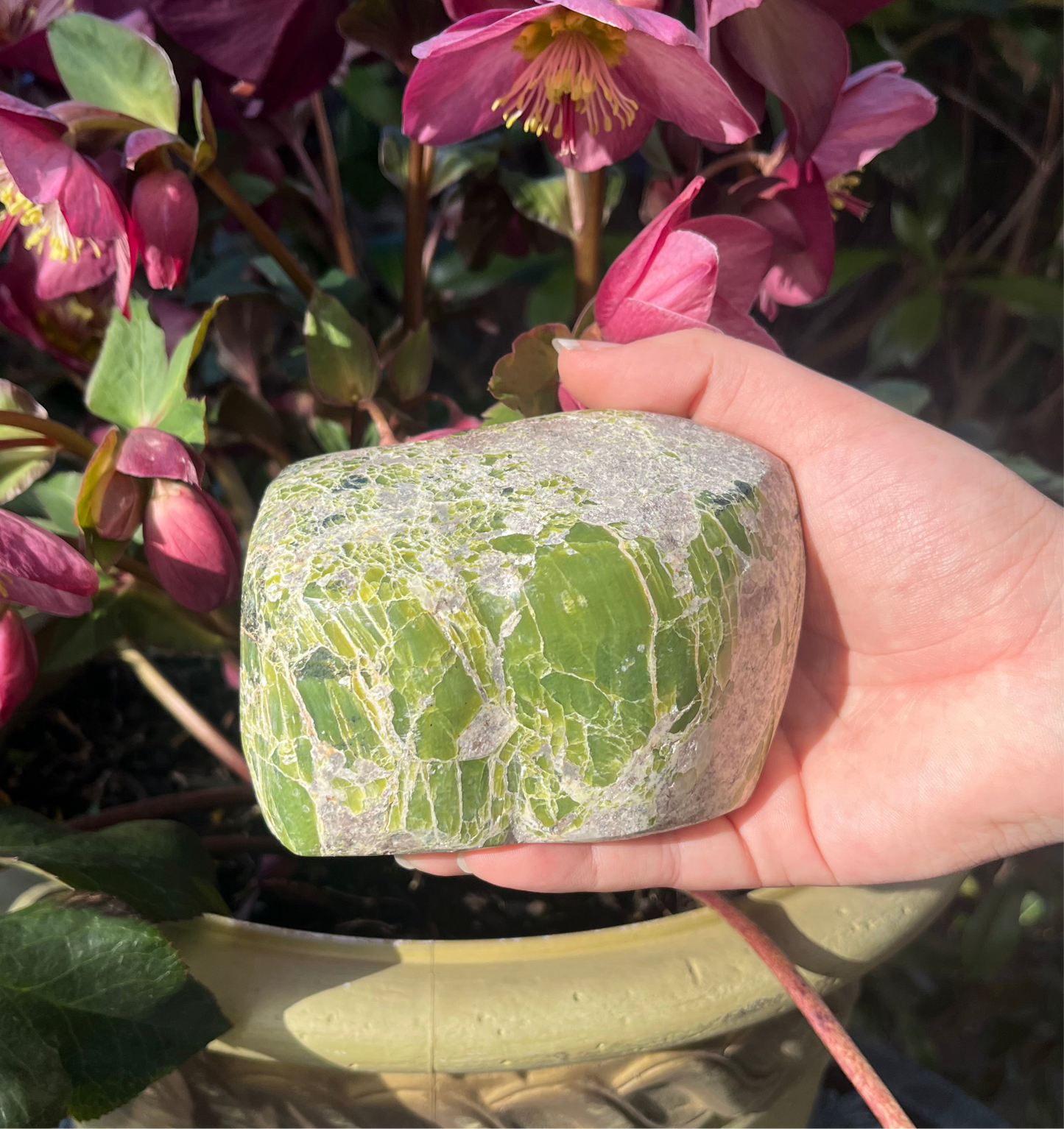 Tremolite Freeform