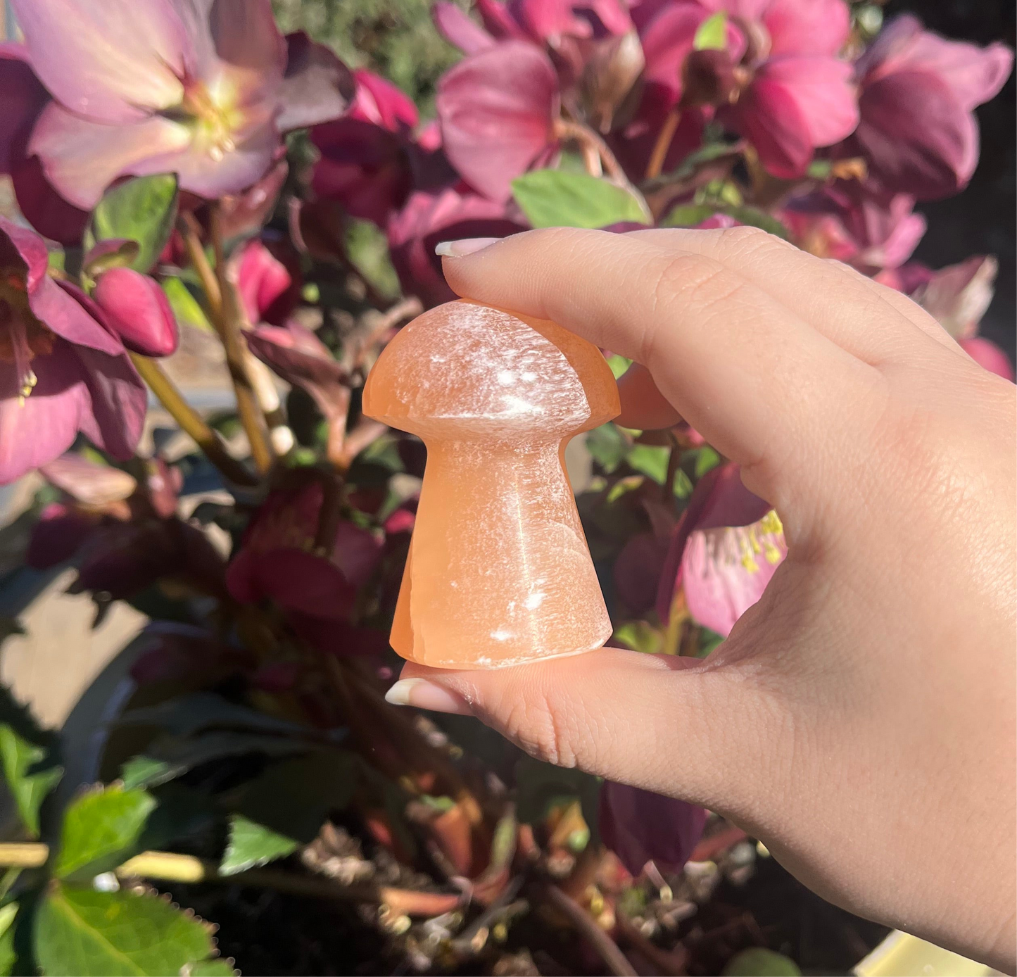 Peach Selenite (Satin Spar) Crystal Mushroom Carvings
