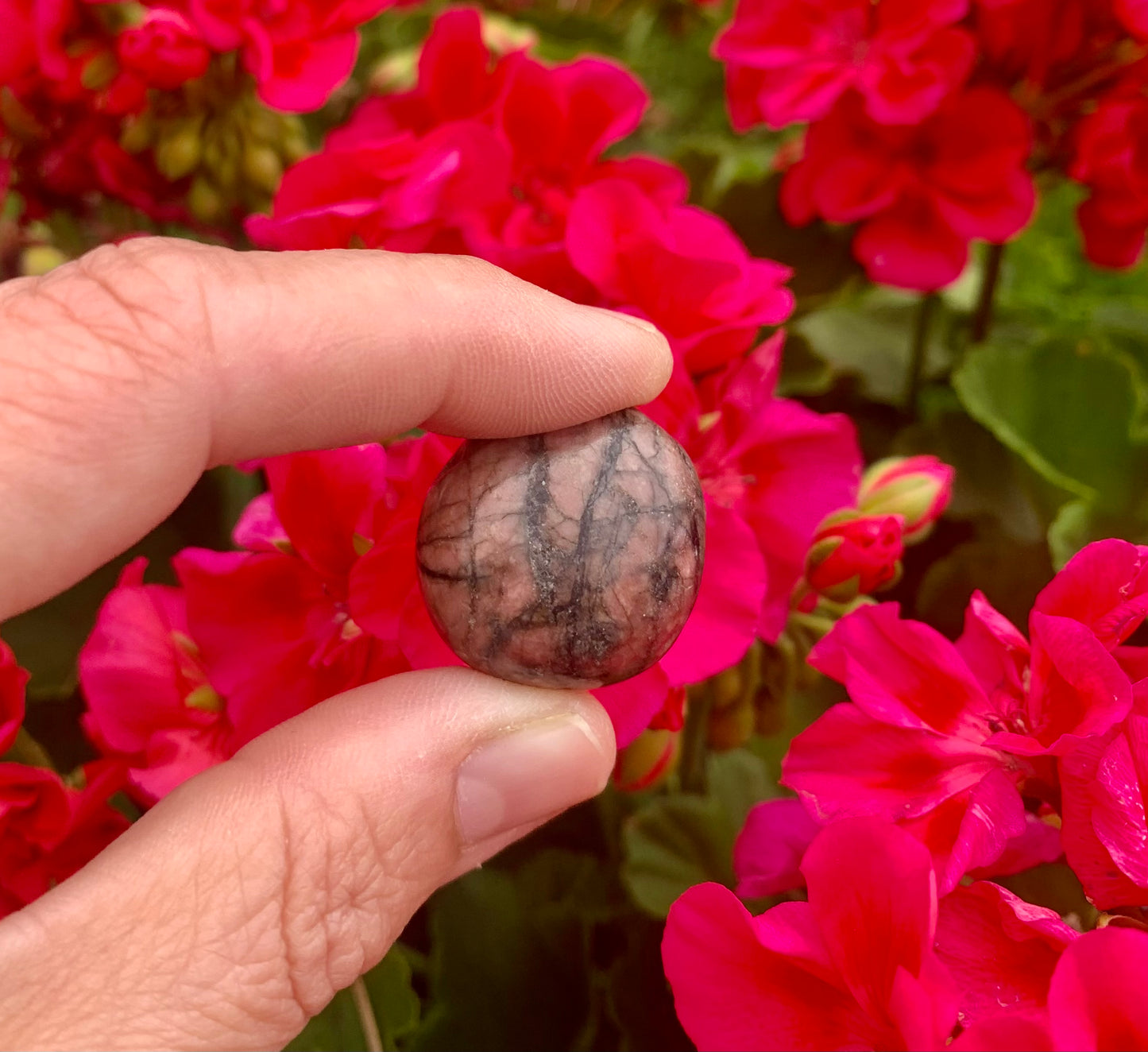 Rhodonite Tumbled Crystals