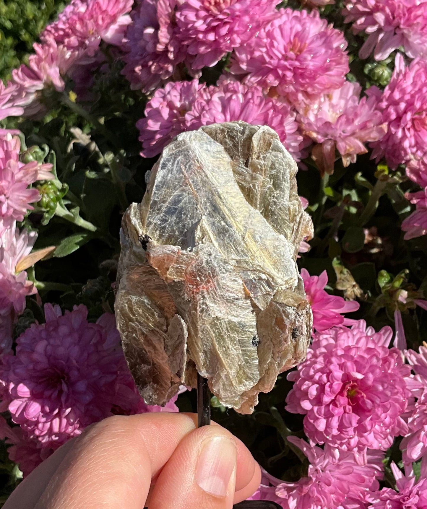 Golden Mica-Covered Black and Pink Tourmaline Specimen on Stand