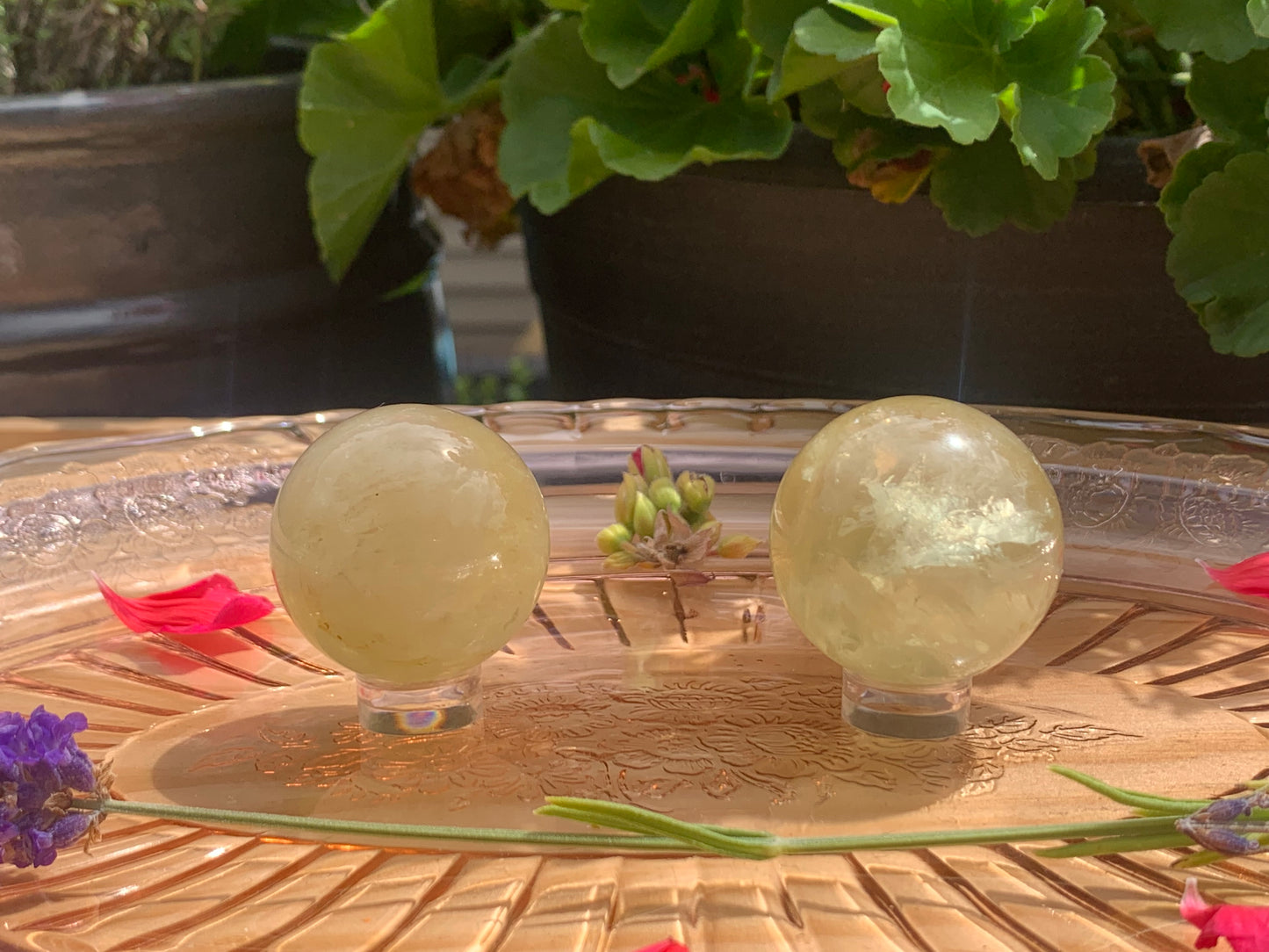 Citrine Spheres