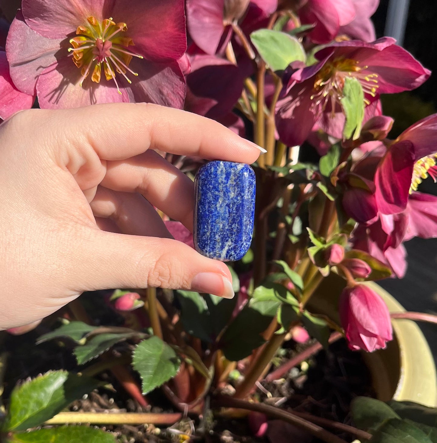 Lapis Lazuli Tumbled Crystals