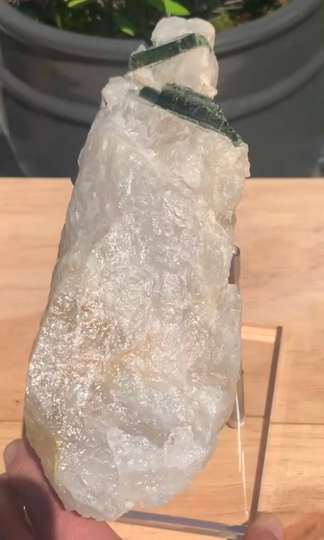 Large Green Tourmaline in Quartz Specimen