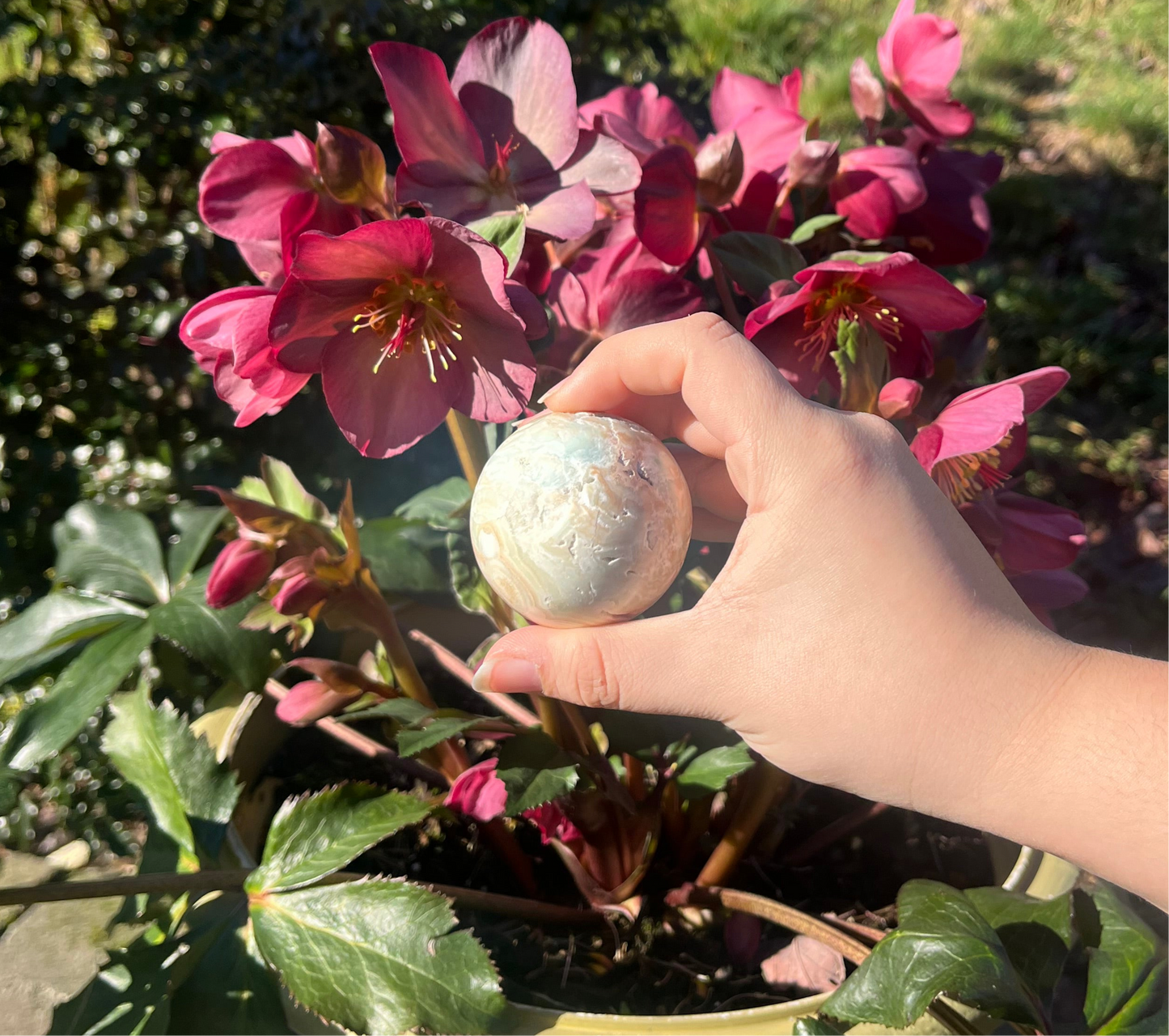 Caribbean Calcite Spheres