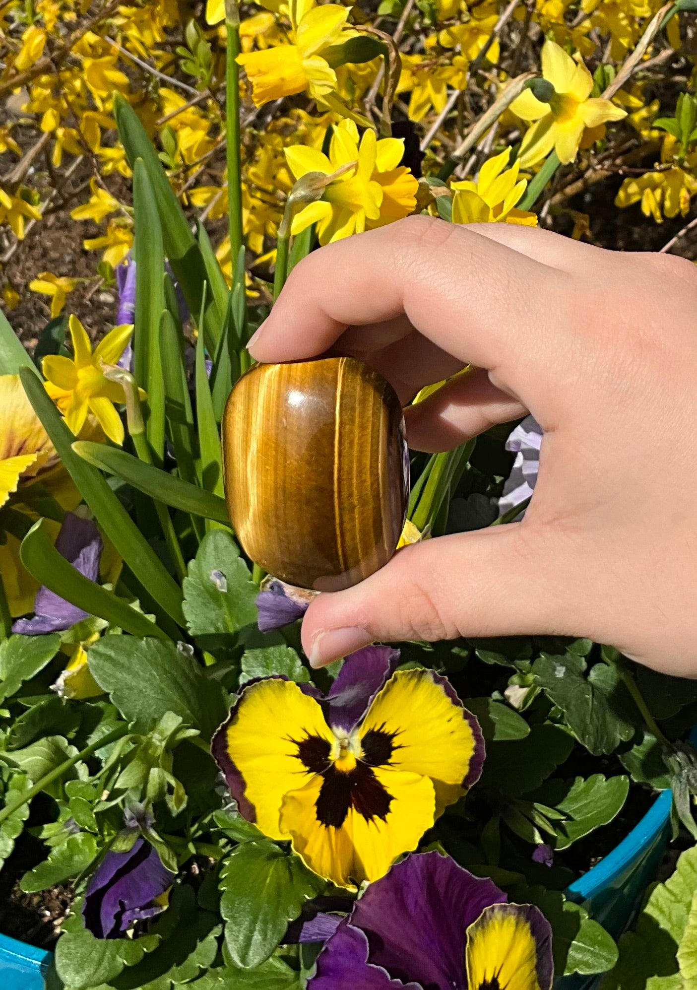 Tiger’s Eye Palm Stones