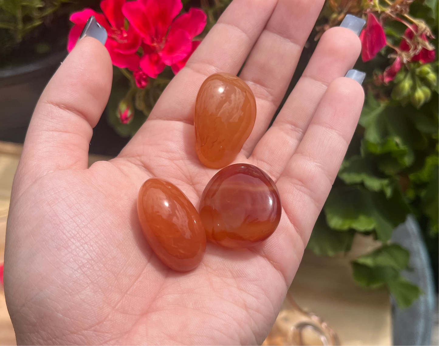 Carnelian Tumbled Crystals