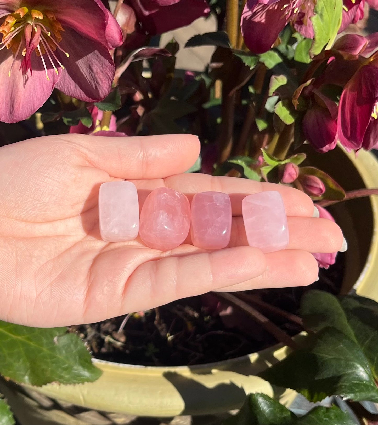 Rose Quartz Tumbled Crystals