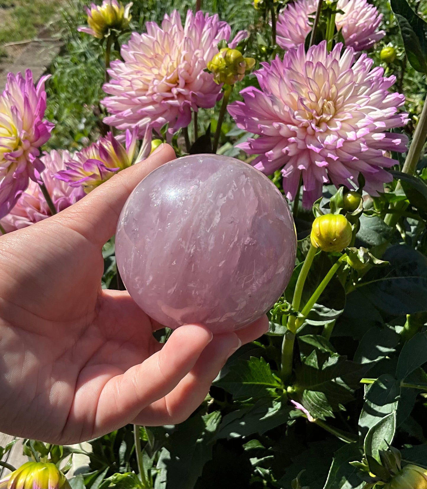 Lavender Rose Quartz Spheres