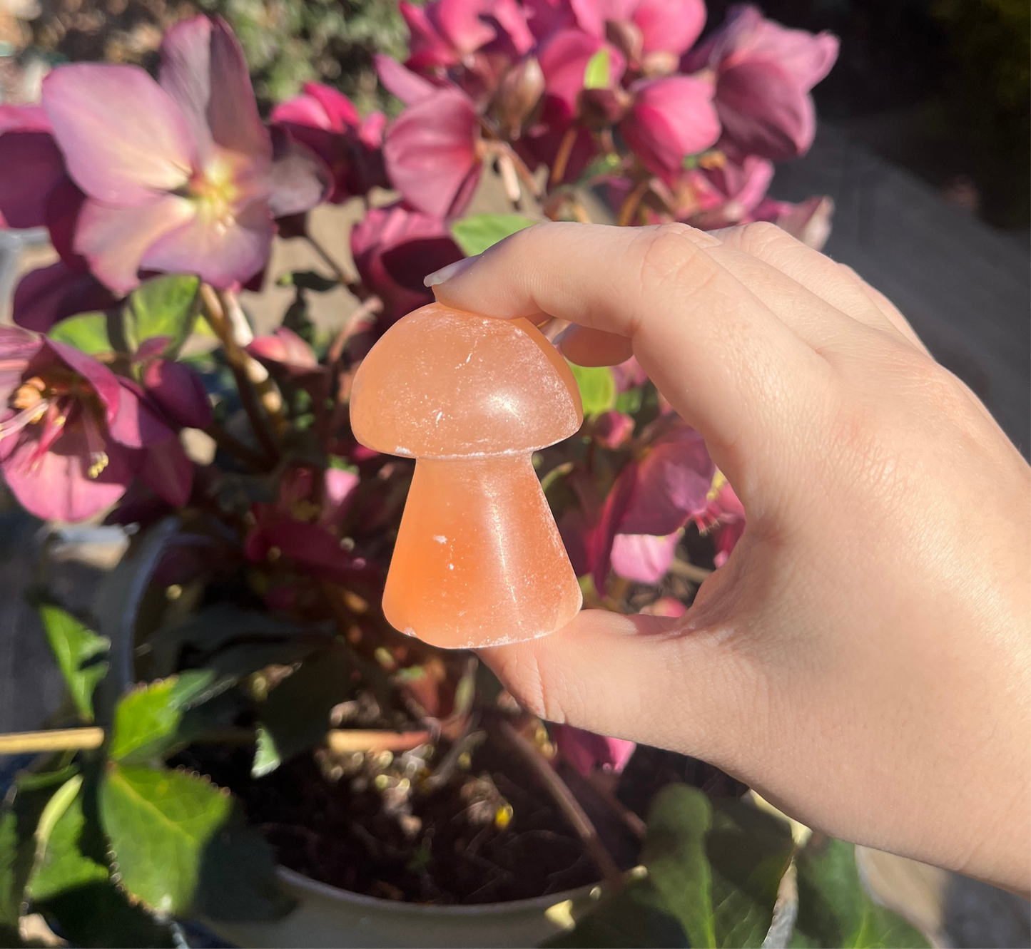 Peach Selenite (Satin Spar) Crystal Mushroom Carvings