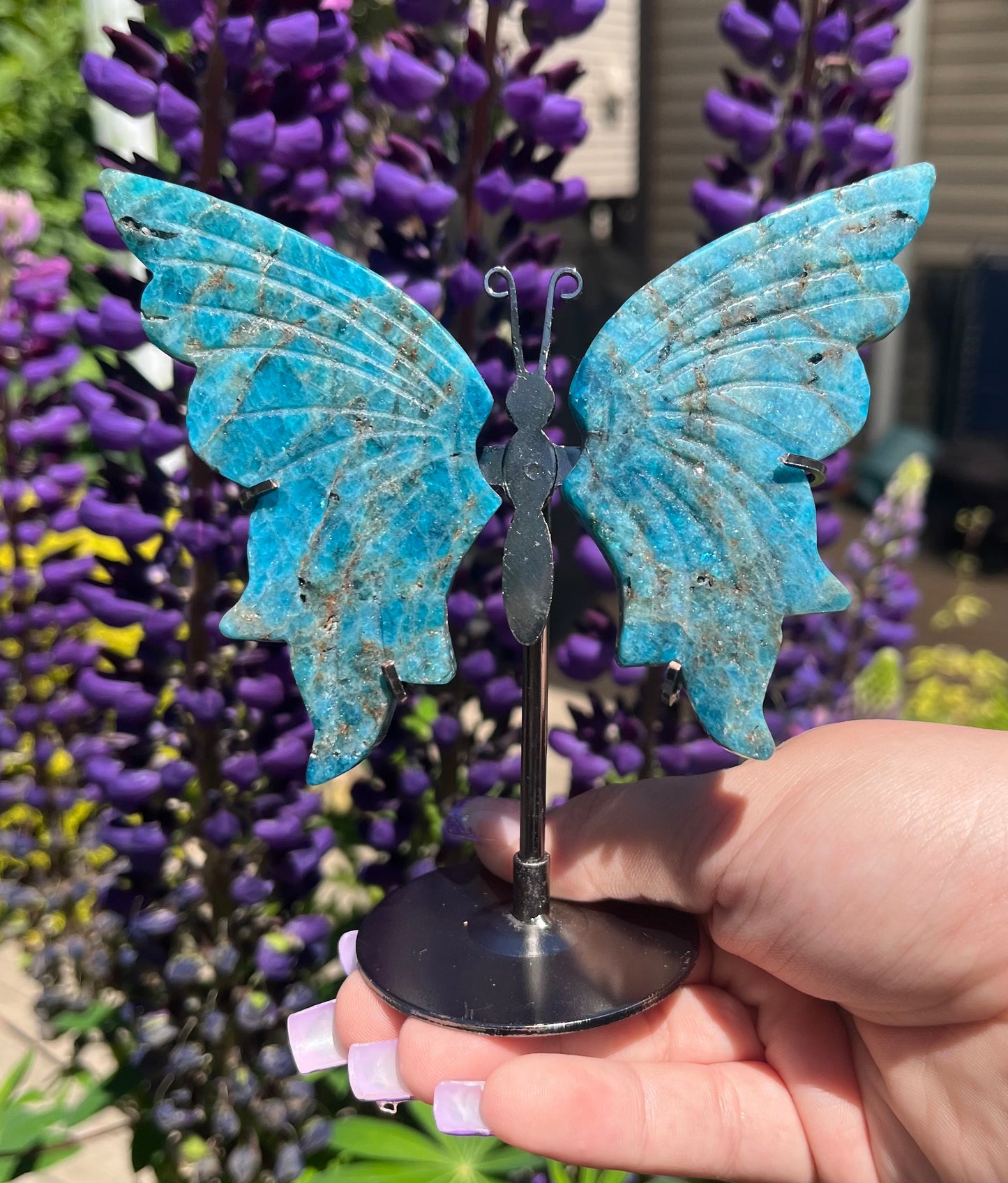 Blue Apatite Butterfly Wings with Stand