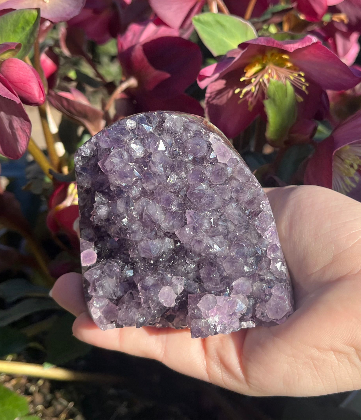 Amethyst Clusters
