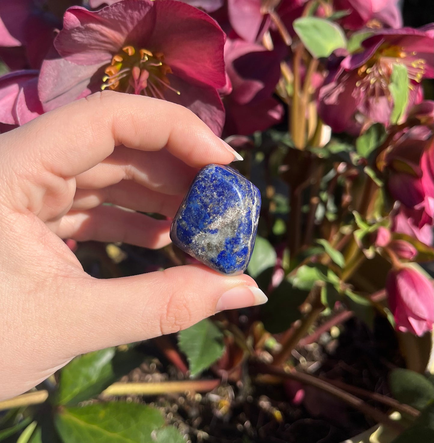 Lapis Lazuli Tumbled Crystals