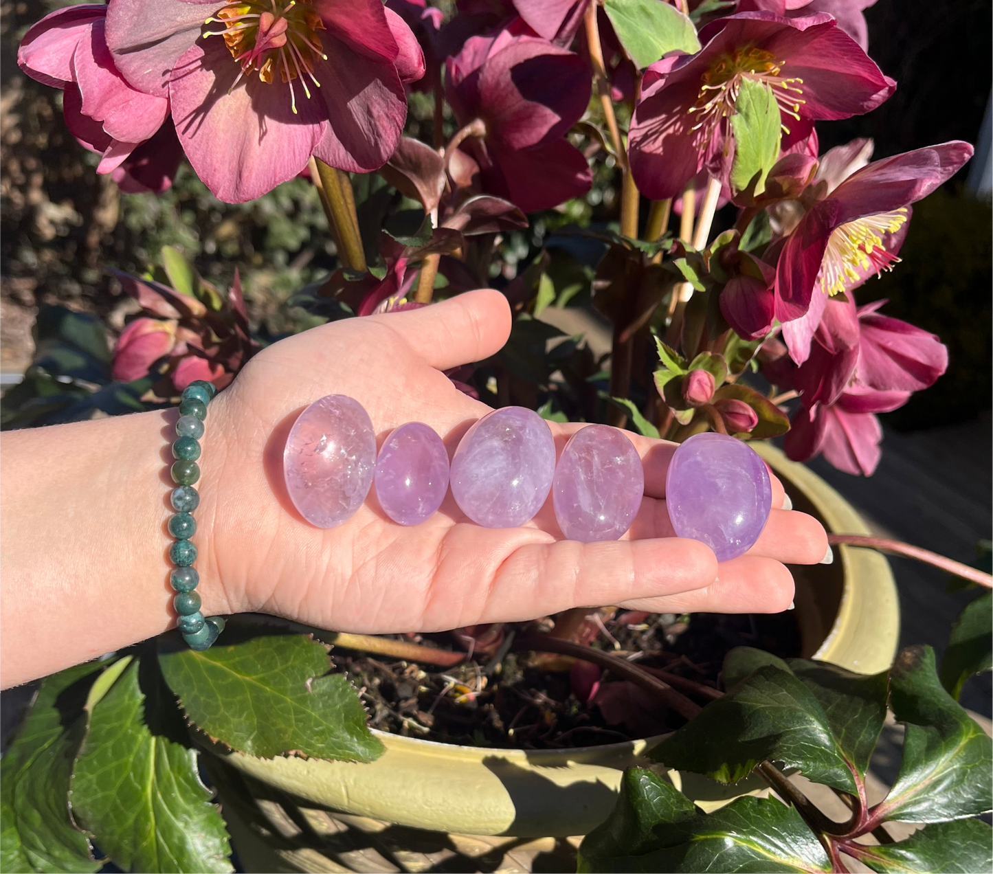 Amethyst Tumbled Crystals