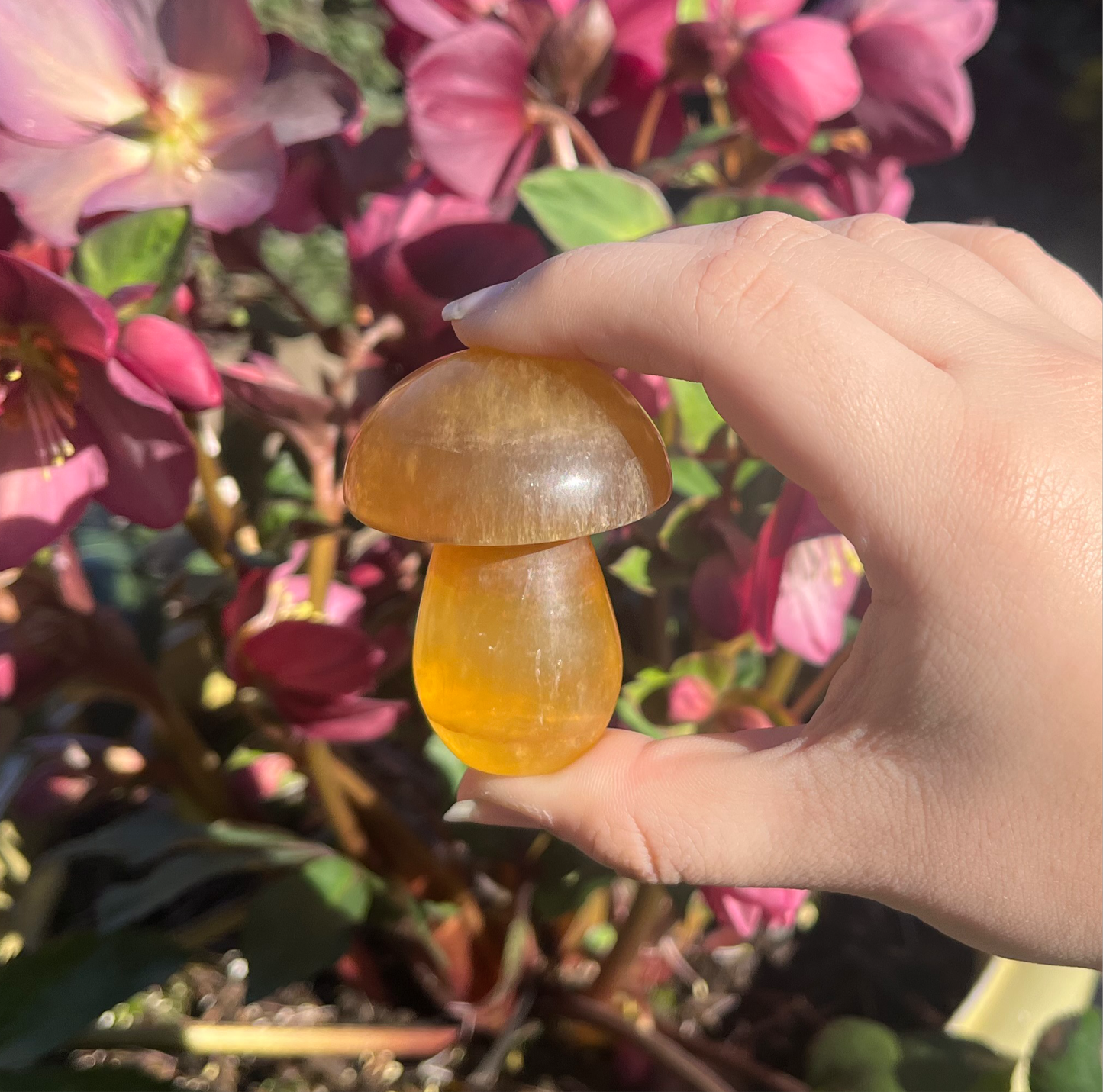 Yellow Fluorite Mushroom Carvings
