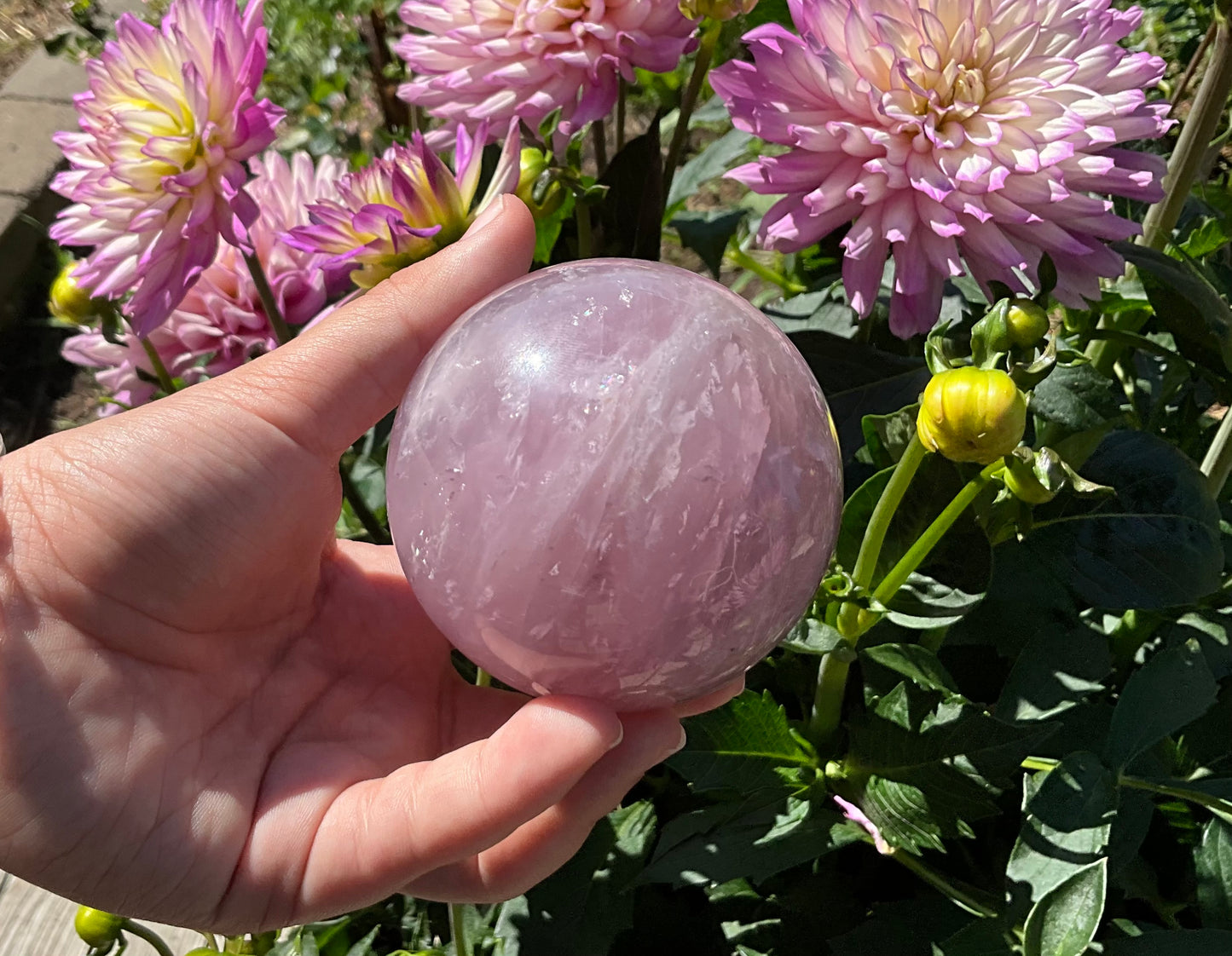 Lavender Rose Quartz Spheres