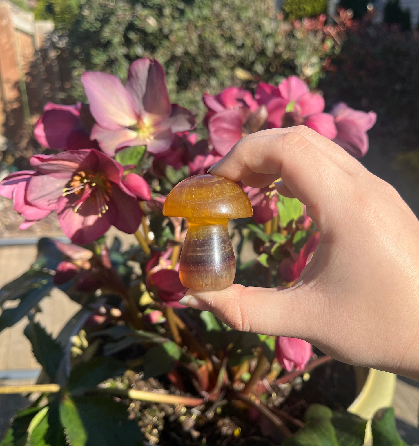 Yellow Fluorite Mushroom Carvings