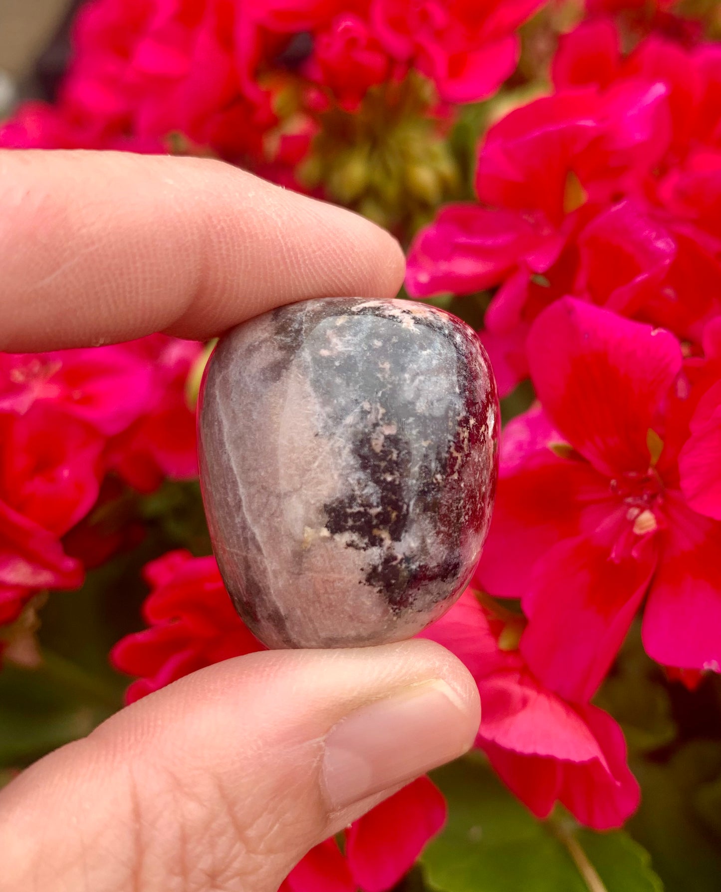 Rhodonite Tumbled Crystals