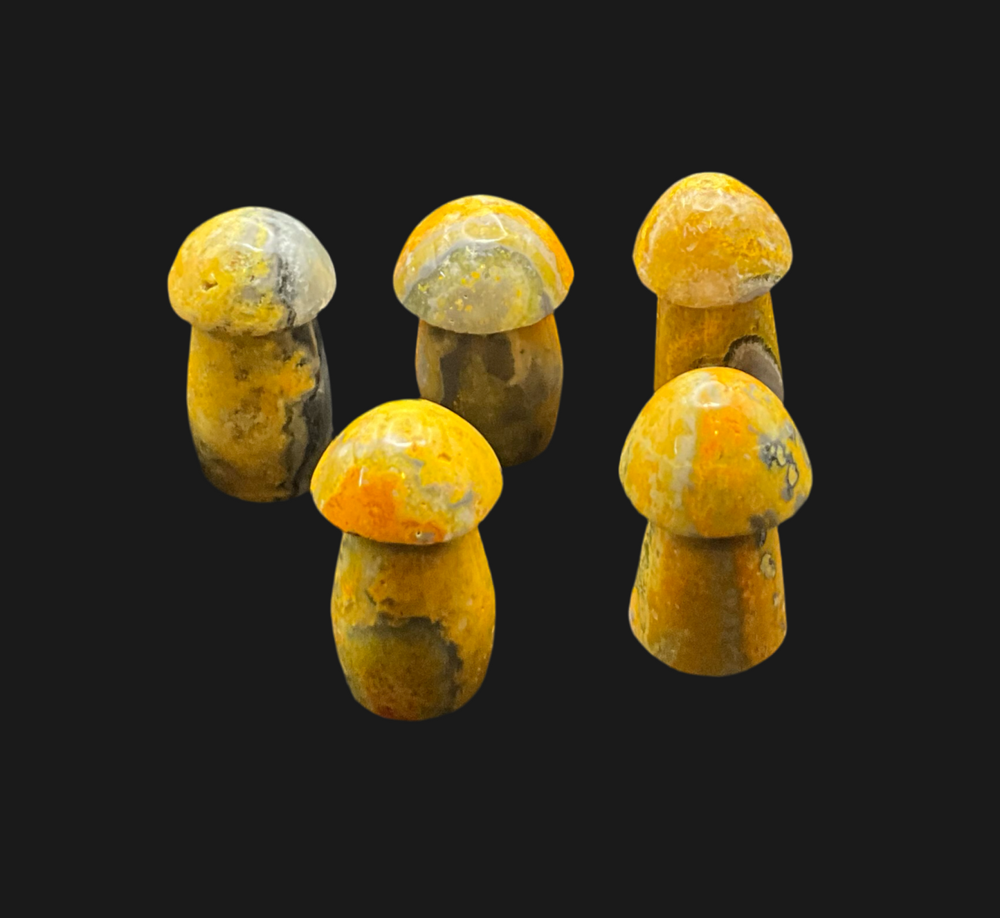 Bumblebee Jasper Crystal Mushrooms
