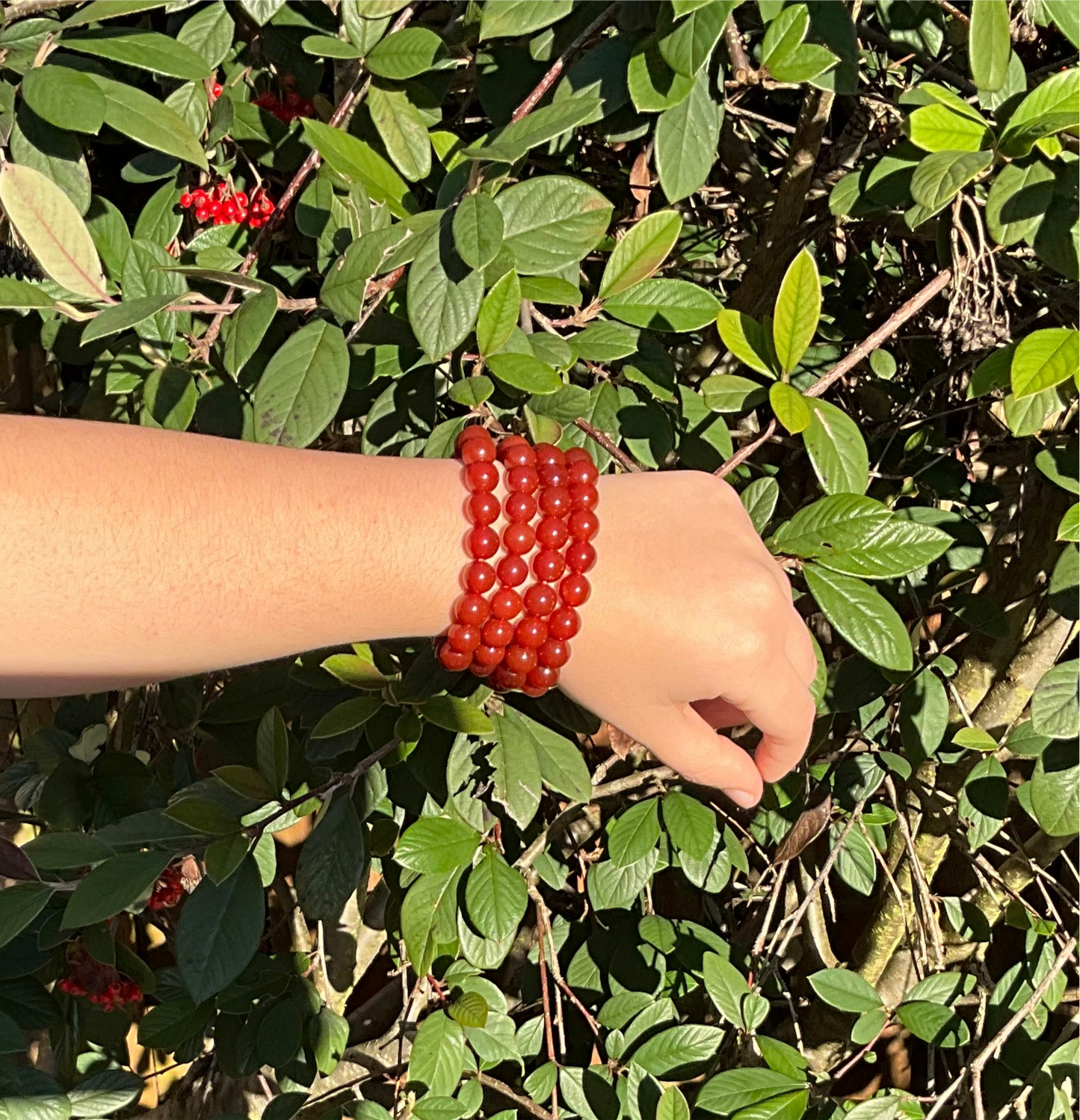 Carnelian Bracelet