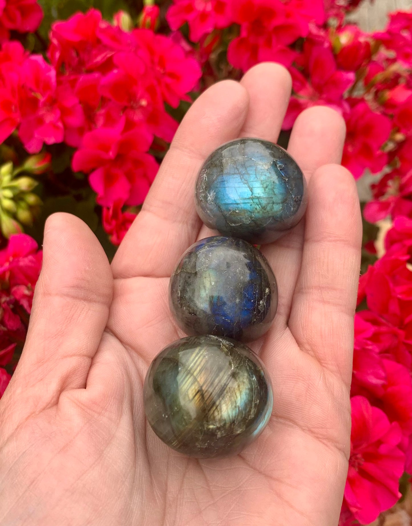 Labradorite Tumbled Crystals