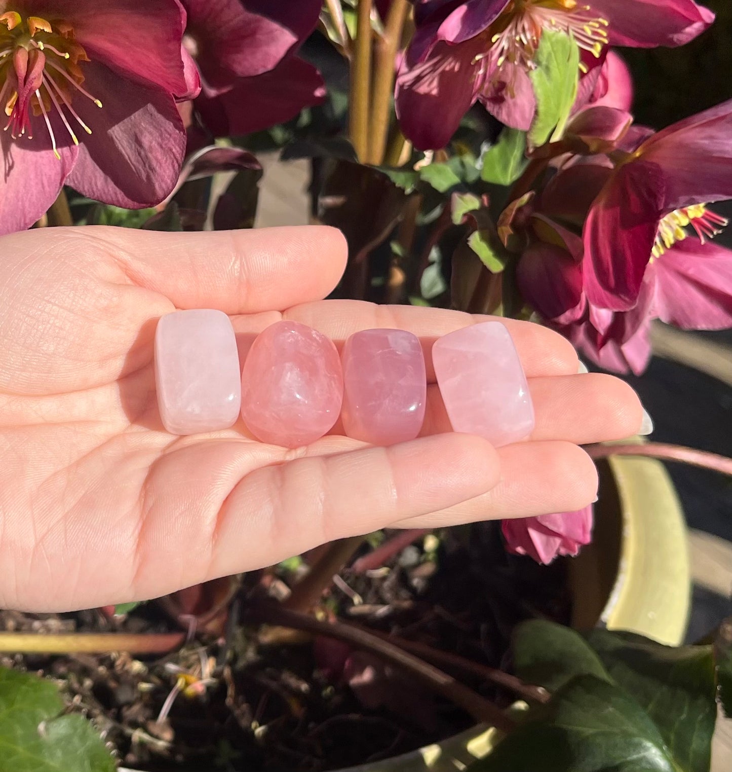Rose Quartz Tumbled Crystals