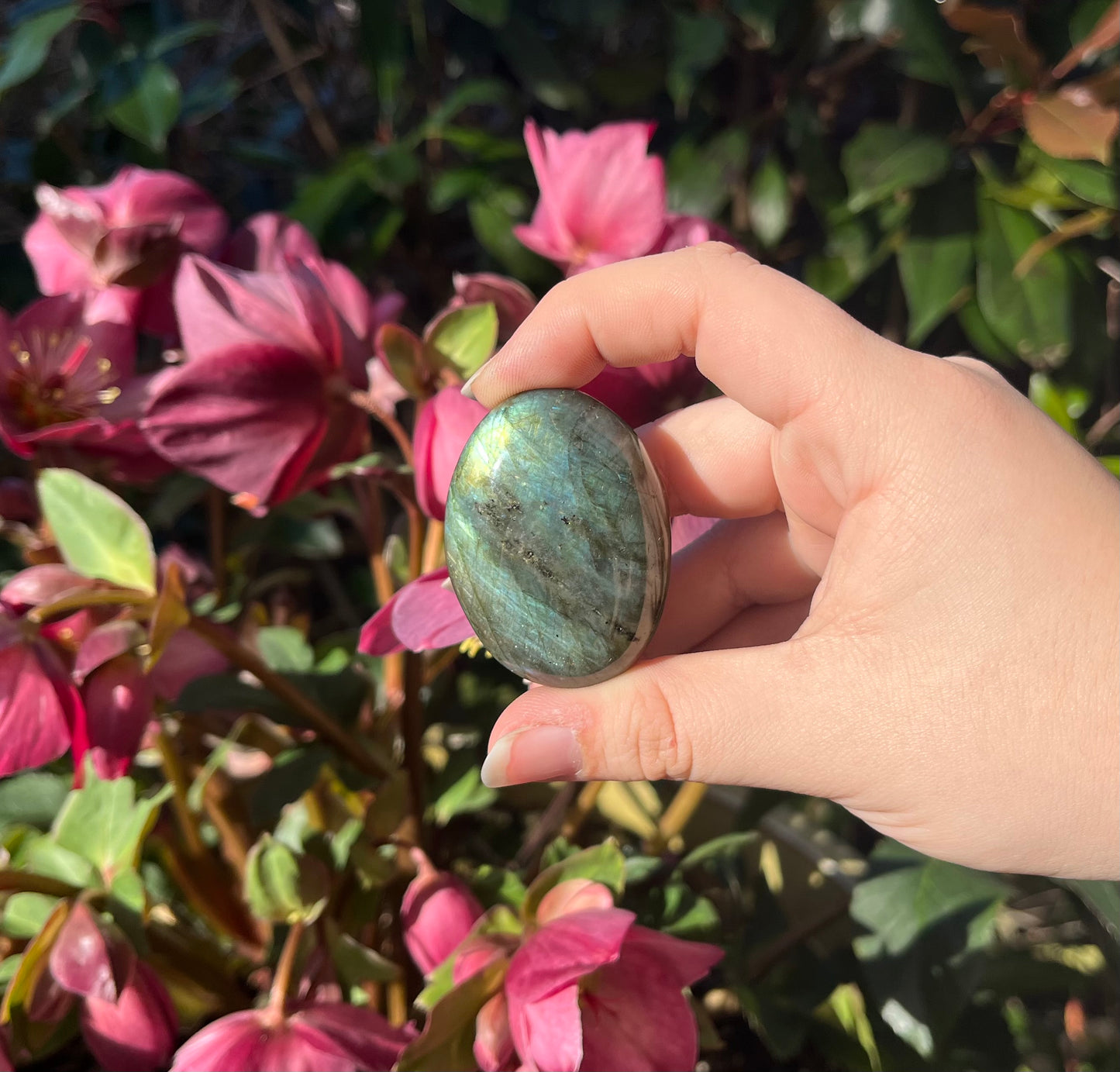 Labradorite Palm Stones