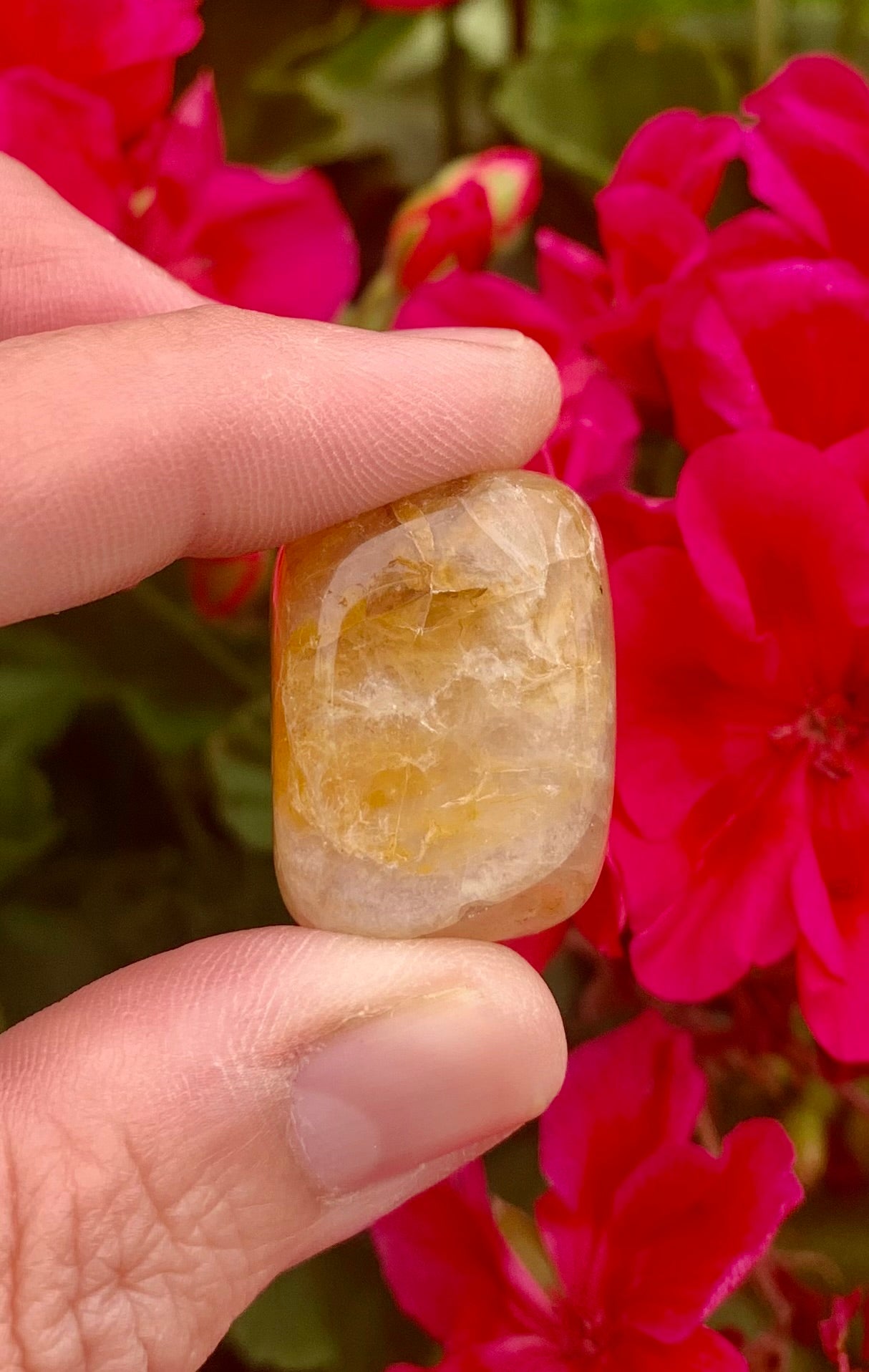 Golden Healer Tumbled Crystals