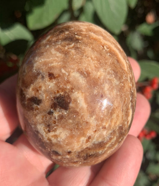 Chocolate Opal Palm Stone