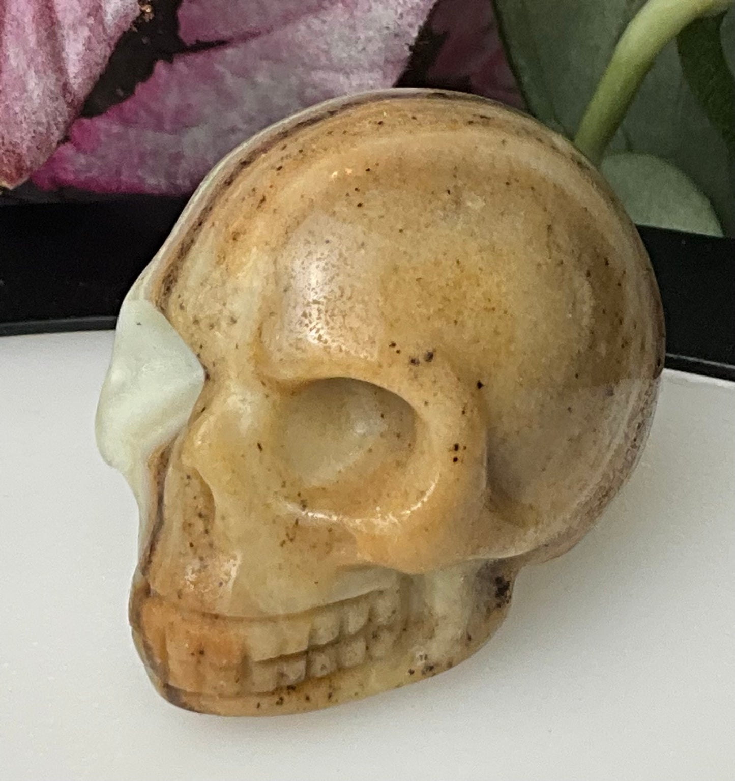 Crystal Skulls