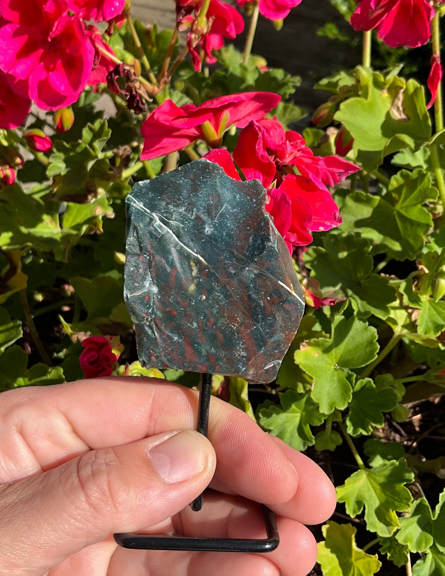 Raw Bloodstone Specimen on Stand