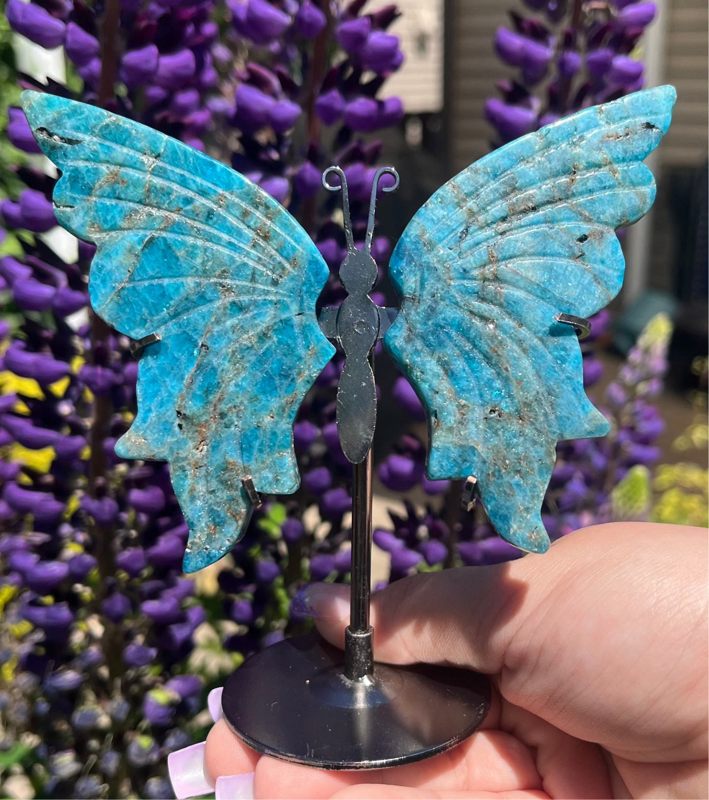 Blue Apatite Butterfly Wings with Stand