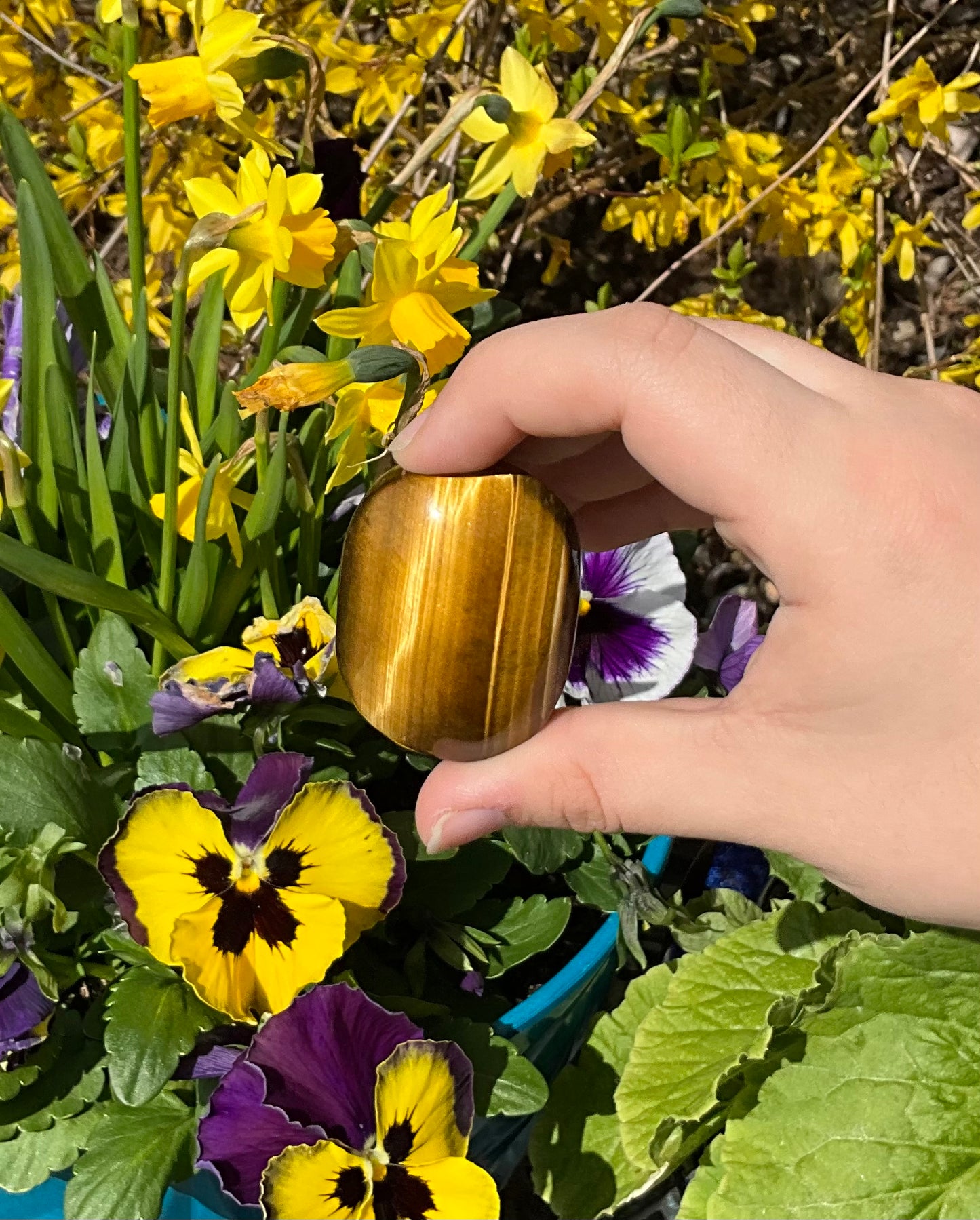 Tiger’s Eye Palm Stones