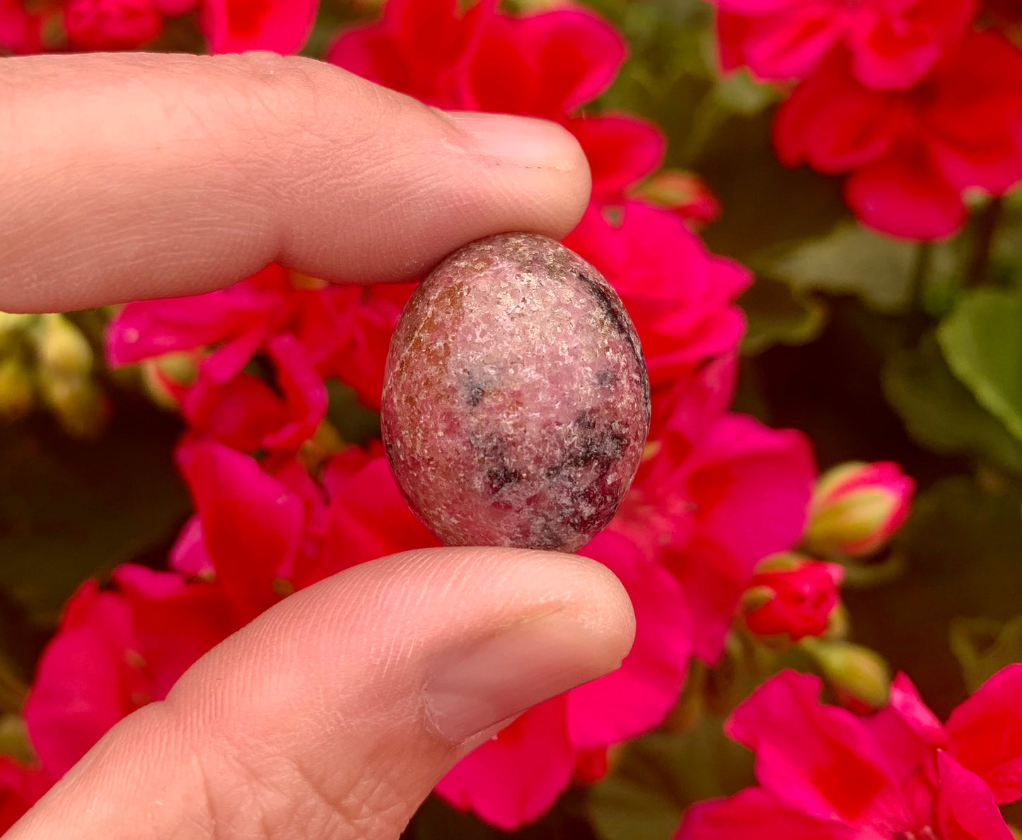 Rhodonite Tumbled Crystals