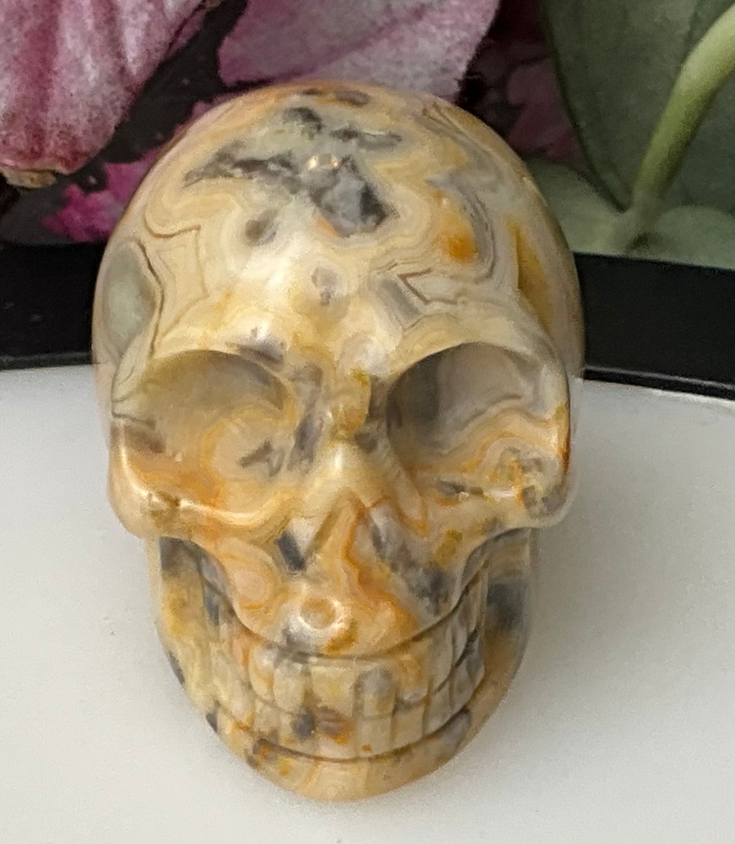 Crystal Skulls