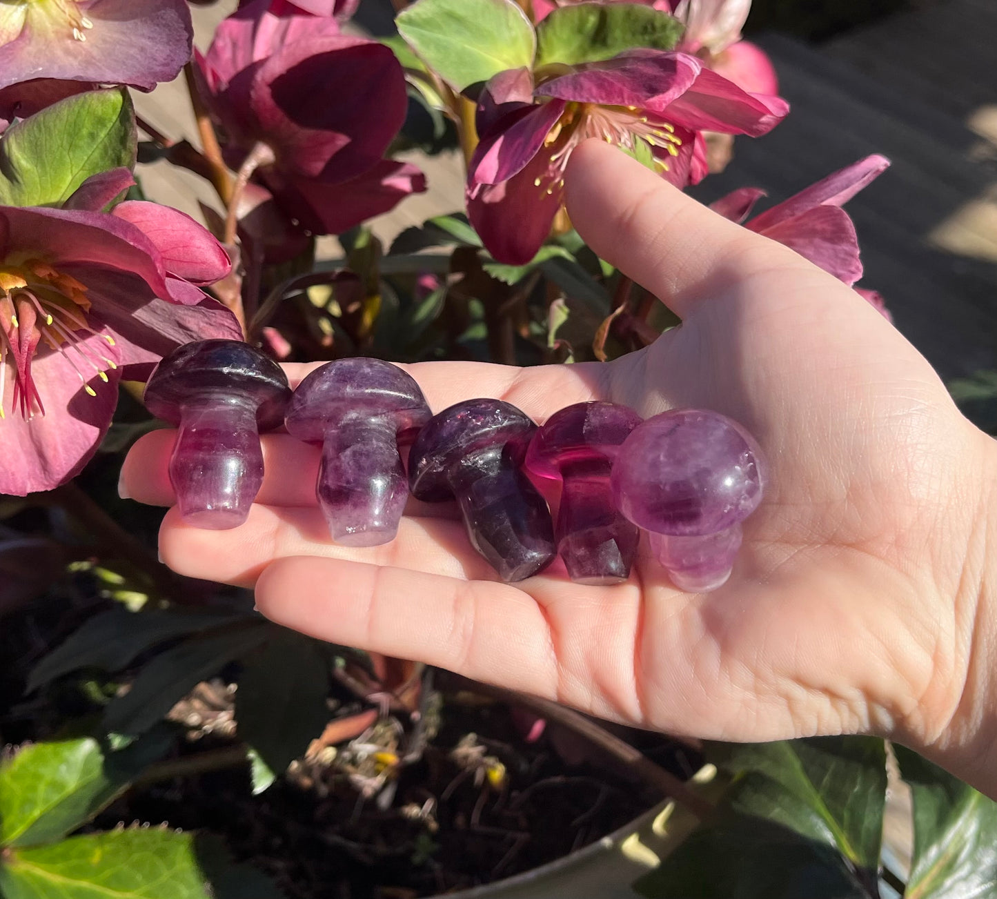 Magenta Fluorite Crystal Mushroom Carvings