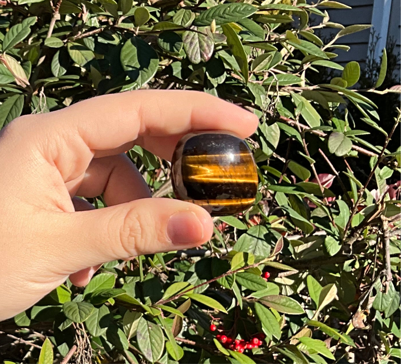 Tiger’s Eye Tumbled Crystals