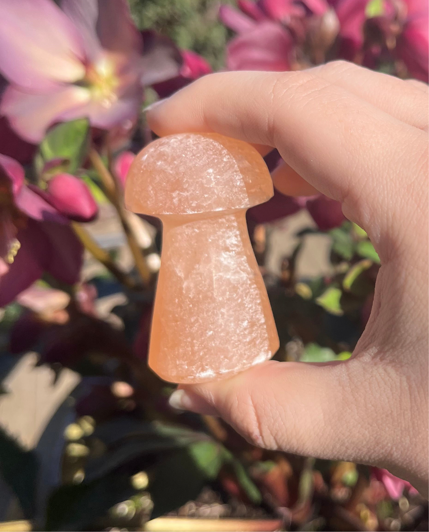 Peach Selenite (Satin Spar) Crystal Mushroom Carvings