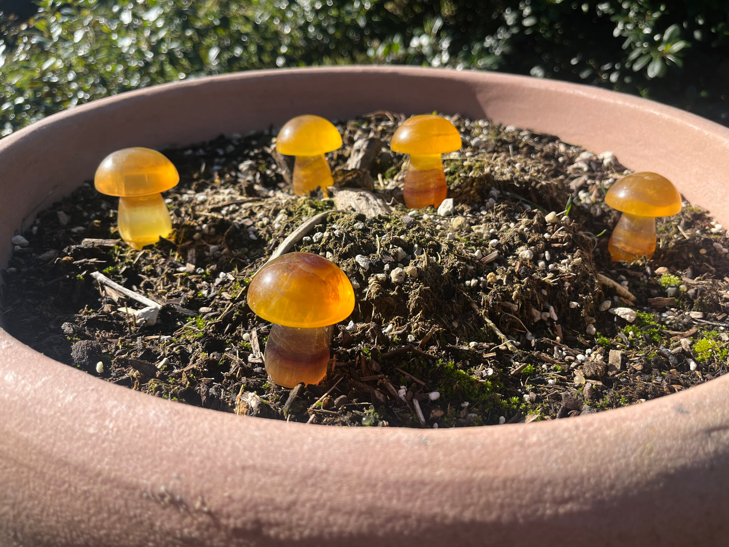 Yellow Fluorite Mushroom Carvings