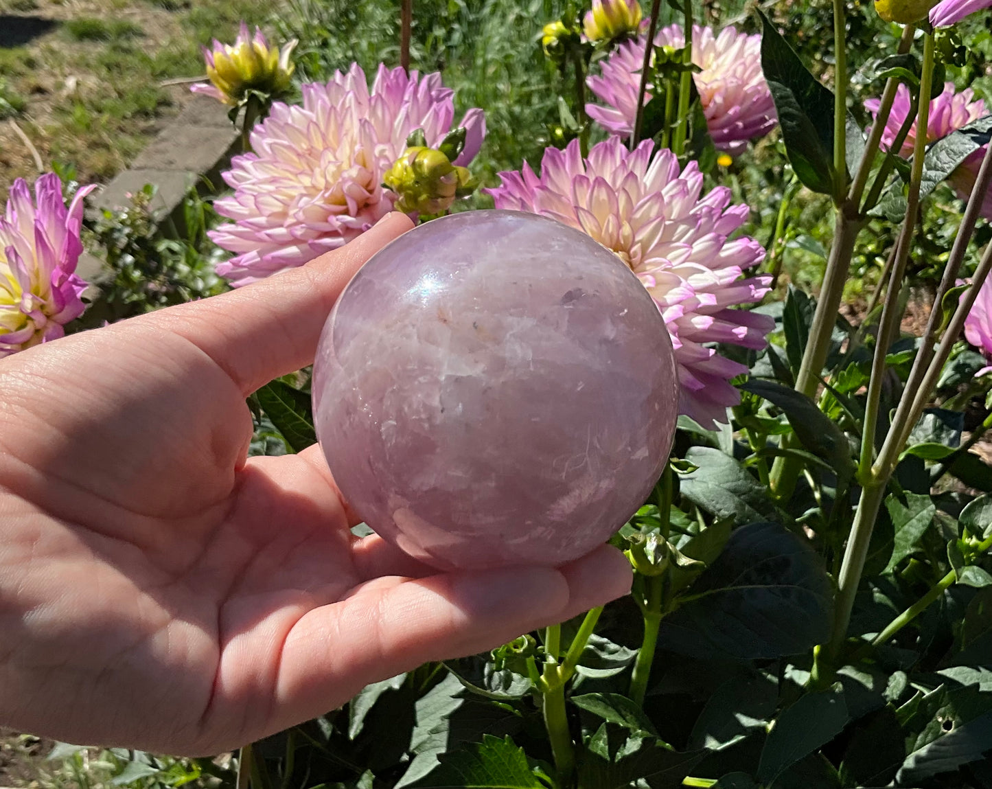 Lavender Rose Quartz Spheres